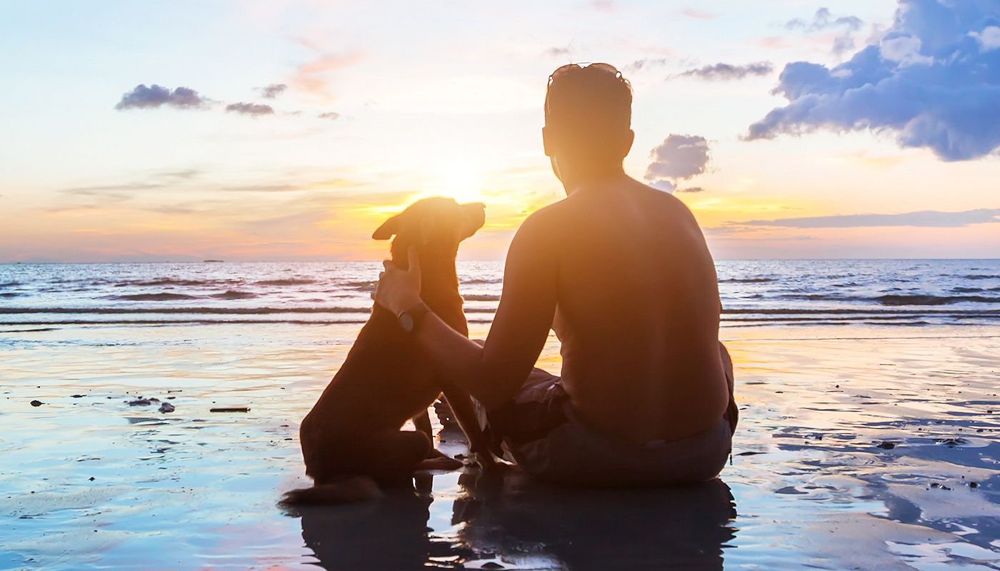 friendship concept, man and dog sitting together on the beach at sunset Grand Marais Pet Friendly Hotel - Best Western Plus Superior Inn Grand Marais