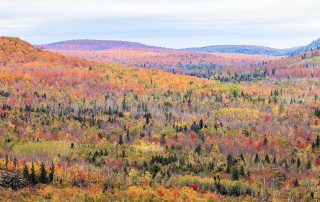Superior National Forest & Pincushion Mountain Trail| Grand Marais Outdoors Guide