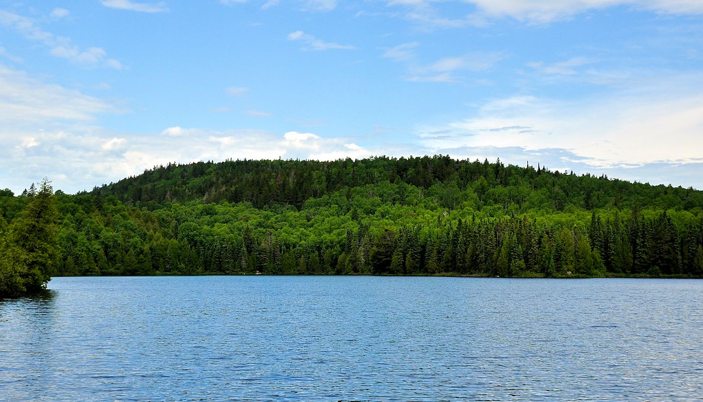 Superior National Forest & Pincushion Mountain Trail| Grand Marais Outdoors Guide